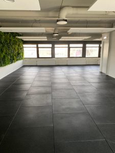 Project S 17 - Project ICM