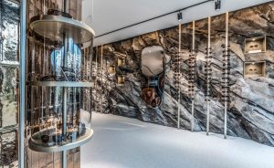 Project S - Project ICM