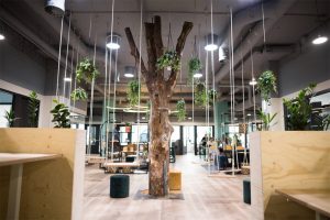 Microlab Eindhoven - ICM Projects