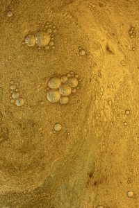 Get ready to perform - ICM Projectinrichtingen